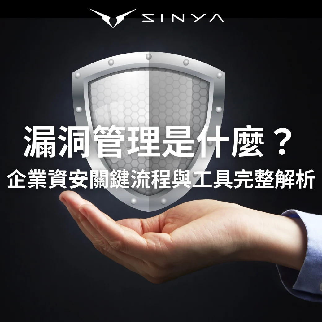 漏洞管理是什麼