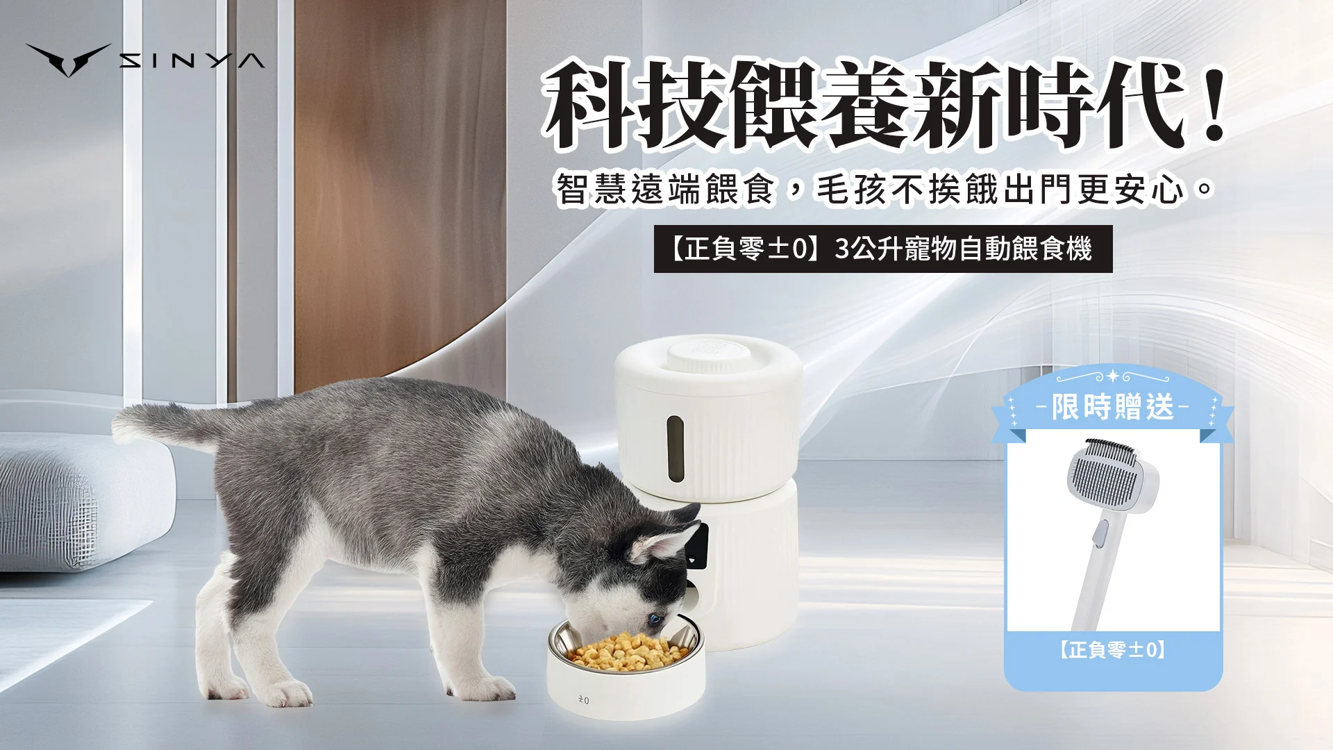 寵物餵食器送寵物開結順毛梳 1920