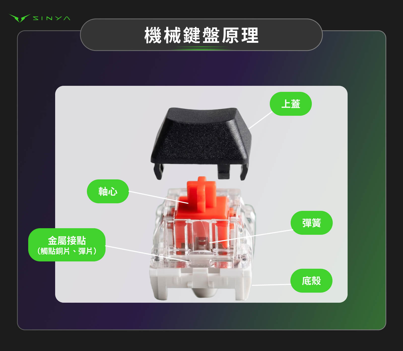 機械鍵盤原理